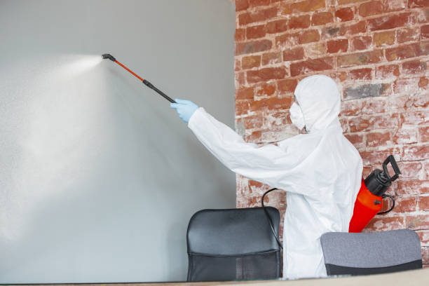 Best Post-Remediation Verification Testing  in Jackson, TN