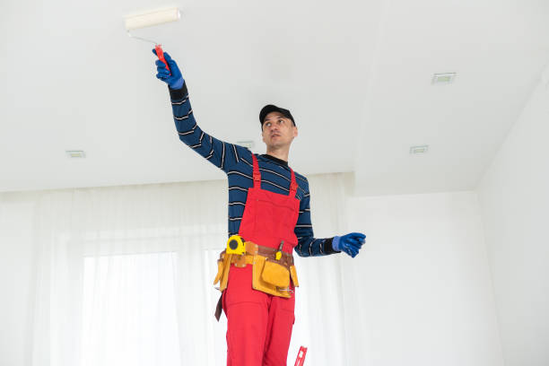 Best Mold Removal for HVAC Installations  in Jackson, TN