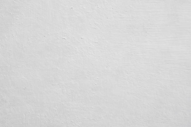 Best Mold Remediation for Rental Properties  in Jackson, TN
