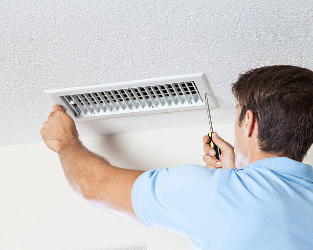 Best Commercial Mold Inspection  in Jackson, TN