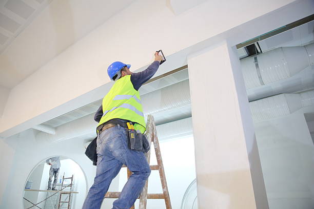 Best Mold Odor Removal Services  in Jackson, TN
