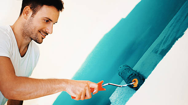 Best Attic Mold Removal  in Jackson, TN