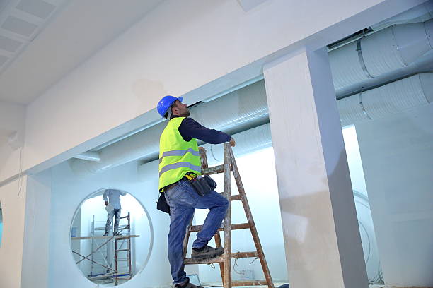 Best Crawl Space Mold Remediation  in Jackson, TN