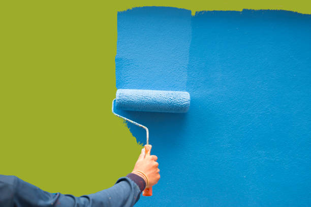 Jackson, TN Mold Removal Company