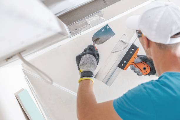 Best Mold Damage Restoration  in Jackson, TN